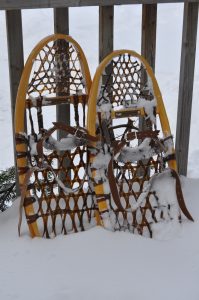 Snowshoes